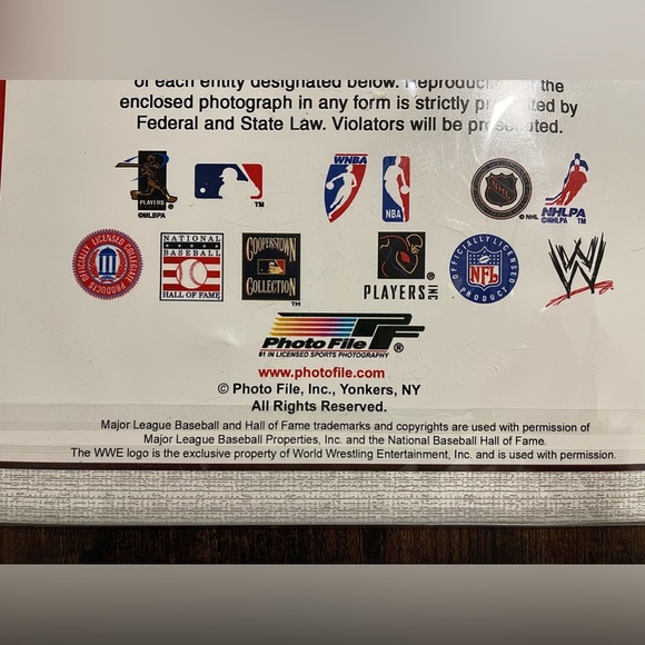 Boston Red Sox 2004 American League Champs Photo From Original Negative 8x10 - Picture 11 of 12